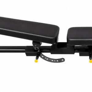 Adjustable multi gym bench with incline and decline positions for home workout