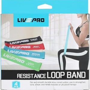 Resistance Loop Band (LP8412)